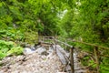 Wooden bridge over brook in a forest Royalty Free Stock Photo