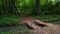 Wooden bridge over a brook in a green summer forest Royalty Free Stock Photo