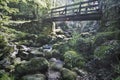 Wooden bridge over a creek from a forest Royalty Free Stock Photo