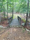 Wooden bridge over a creek or open area of land in a woods or forest Royalty Free Stock Photo