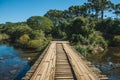 Wooden bridge over creek and trail through forest Royalty Free Stock Photo