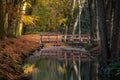 Wooden bridge over a ditch in the Bergerbos during a colorful autumn. Royalty Free Stock Photo