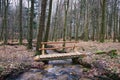 Wooden Bridge Over Forest Brook Royalty Free Stock Photo