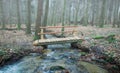Wooden Bridge Over Forest Brook Royalty Free Stock Photo