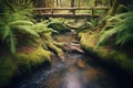 a wooden bridge over a forest brook surrounded by ferns Royalty Free Stock Photo