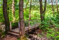 Wooden bridge over the forest brook Royalty Free Stock Photo