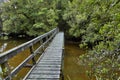 Wooden bridge over forest river, hiking track in Rakiura