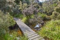 Wooden bridge over forest river, hiking track in Rakiura