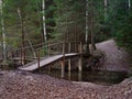 A wooden bridge over a forest stream Royalty Free Stock Photo