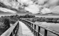 Wooden bridge over a lagoon, black and white Royalty Free Stock Photo