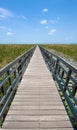 Wooden bridge Royalty Free Stock Photo