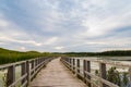 A wooden bridge over a marsh in the Cavendish Dunelands Royalty Free Stock Photo