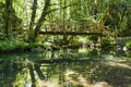 Wooden bridge over the Mladejka river in the Strandja national p Royalty Free Stock Photo