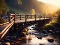 Wooden bridge over mountain creek