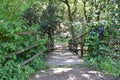 A wooden bridge over a mountain stream Royalty Free Stock Photo