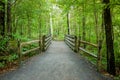 Wooden bridge over nature trail Royalty Free Stock Photo