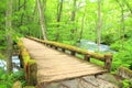 Wooden bridge over the Oirase Stream