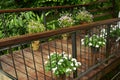 The Wooden Bridge over the pond with Flower Garden Royalty Free Stock Photo