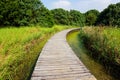 Wooden Bridge over a Pond Royalty Free Stock Photo