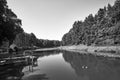 wooden bridge over a pond in the forest during summer Royalty Free Stock Photo