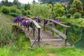 Wooden bridge over a pond in a park, nature background Royalty Free Stock Photo