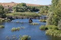 Wooden bridge over a quiet river Royalty Free Stock Photo