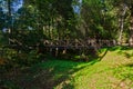 Wooden bridge over a ravine in the forest in Abramtsevo estate, Moscow region, Russia