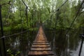 Wooden bridge over river on the background of green forest Royalty Free Stock Photo