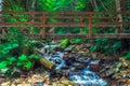 Wooden bridge over the river rain in the autumn morning - Carpathian Mountains,Ukraine - selected focus