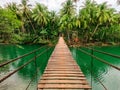 Wooden bridge over the river in the tropical jungle of the Philippines Royalty Free Stock Photo