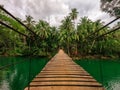 Wooden bridge over the river in the tropical jungle of the Philippines Royalty Free Stock Photo