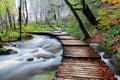 Wooden bridge over river Royalty Free Stock Photo