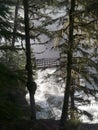 Wooden bridge over roaring mountain river Royalty Free Stock Photo