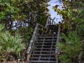 Wooden Stairway Over the Sand Dunes Royalty Free Stock Photo