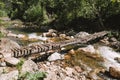 Wooden bridge over a small mountain river in a spring forest. Sunny afternoon Royalty Free Stock Photo