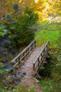 a wooden bridge over a small stream in a forest with lots of trees and grass on both sides of it Royalty Free Stock Photo