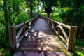 Wooden bridge over a small stream in the Retiro public park,