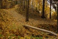 Wooden bridge over a stream in an autumn park with fallen yellow leaves Royalty Free Stock Photo
