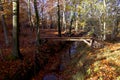 Wooden bridge over the stream so beautiful