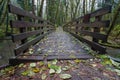 Wooden bridge over the stream in the forest Royalty Free Stock Photo