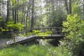 Wooden bridge over a stream in a forest Royalty Free Stock Photo