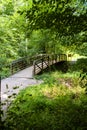 Wooden bridge  in the summer dense forest Royalty Free Stock Photo
