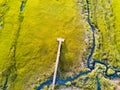 Wooden bridge over a swamp from above Royalty Free Stock Photo