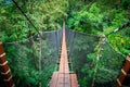 Wooden bridge hanging over tree