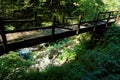 Wooden bridge over the Vintgar Gorge