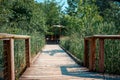 Wooden bridge over the wetlands in the gardens Royalty Free Stock Photo
