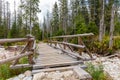 Wooden bridge over the wild mountain river in coniferous forest in Tatra Mountains, Poland Royalty Free Stock Photo