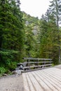 Wooden bridge over wild river in lush coniferous forest in Strazyska Valley in Tatra Mountains, Poland Royalty Free Stock Photo