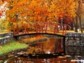 Wooden bridge at the park