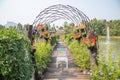 The wooden bridge park full of flowers with chair Royalty Free Stock Photo